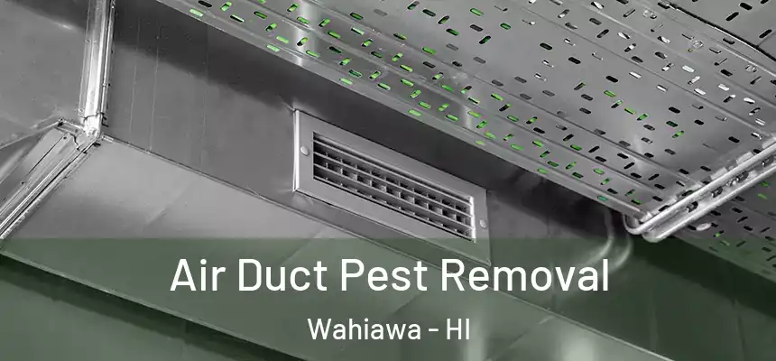  Air Duct Pest Removal Wahiawa - HI