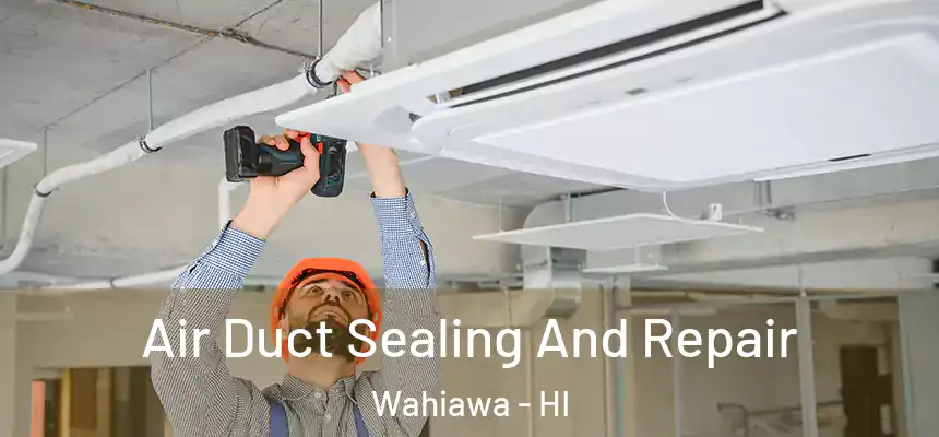  Air Duct Sealing And Repair Wahiawa - HI