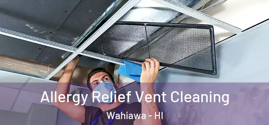  Allergy Relief Vent Cleaning Wahiawa - HI