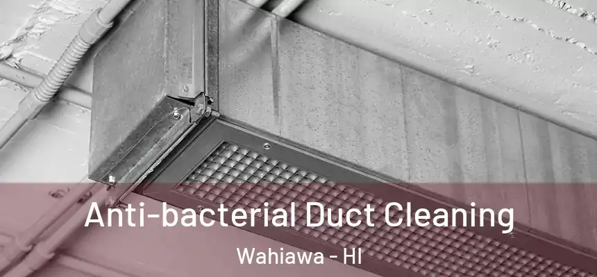  Anti-bacterial Duct Cleaning Wahiawa - HI