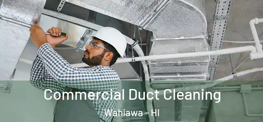  Commercial Duct Cleaning Wahiawa - HI