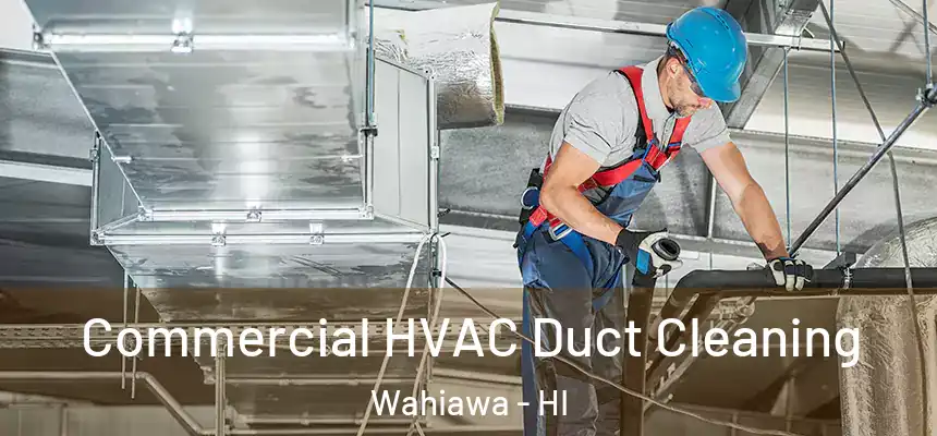  Commercial HVAC Duct Cleaning Wahiawa - HI