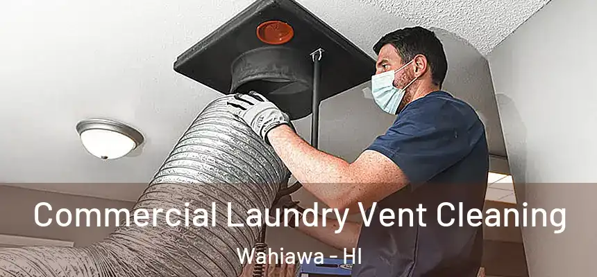  Commercial Laundry Vent Cleaning Wahiawa - HI