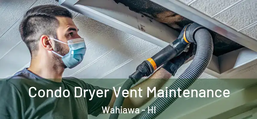  Condo Dryer Vent Maintenance Wahiawa - HI