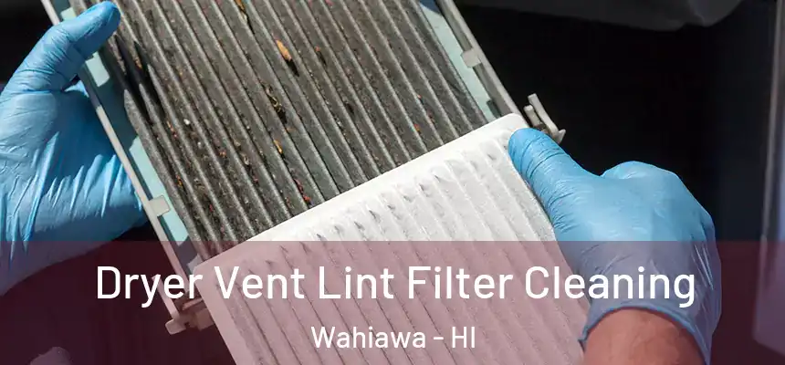  Dryer Vent Lint Filter Cleaning Wahiawa - HI