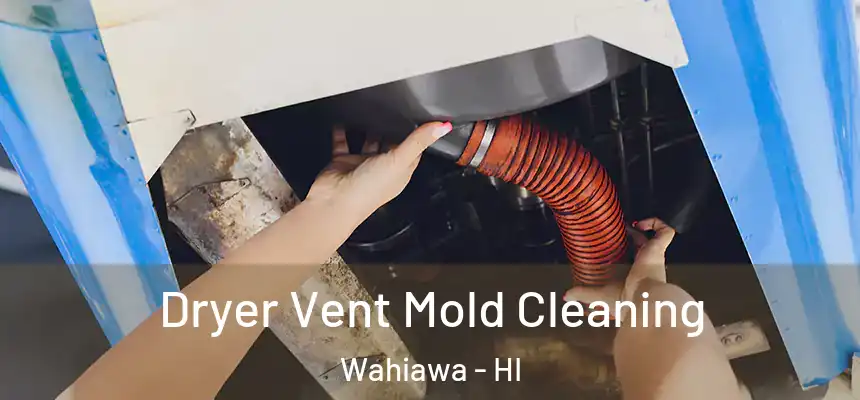  Dryer Vent Mold Cleaning Wahiawa - HI