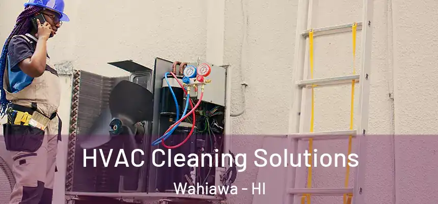  HVAC Cleaning Solutions Wahiawa - HI