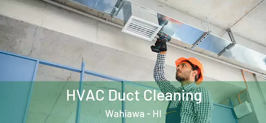  HVAC Duct Cleaning Wahiawa - HI