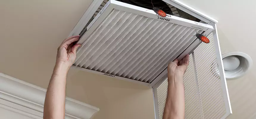 Preventive Cockroach-Proofing for Ducts in Wahiawa