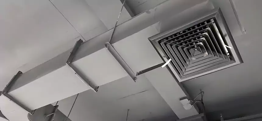 Restorative Allergy Relief Vent Cleaning – Coil, Blower & Housing Detail in Wahiawa