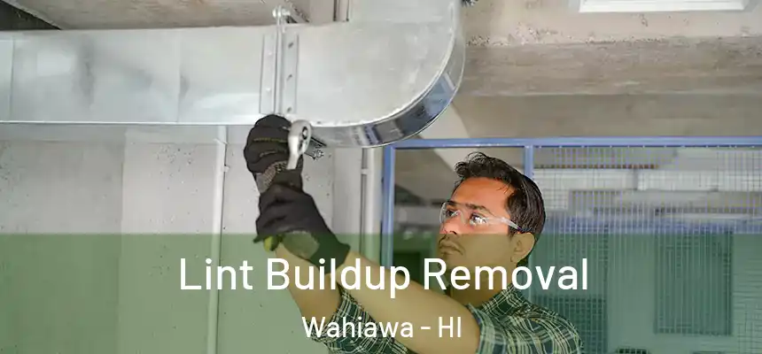  Lint Buildup Removal Wahiawa - HI