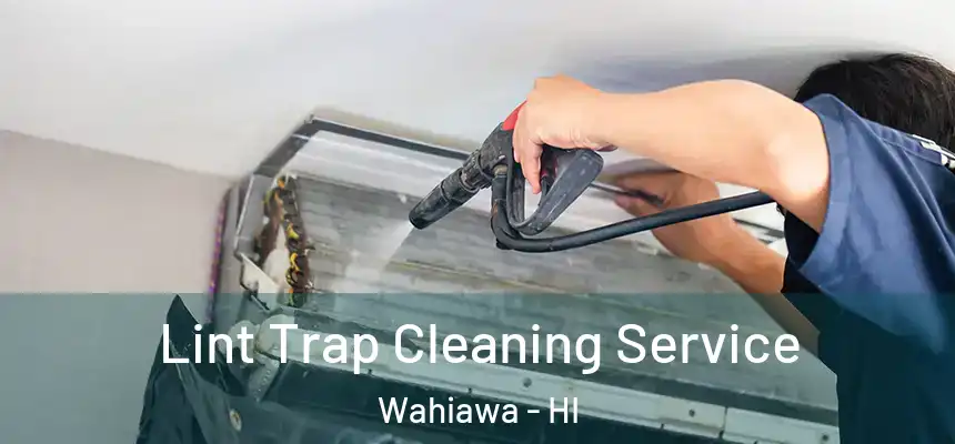  Lint Trap Cleaning Service Wahiawa - HI