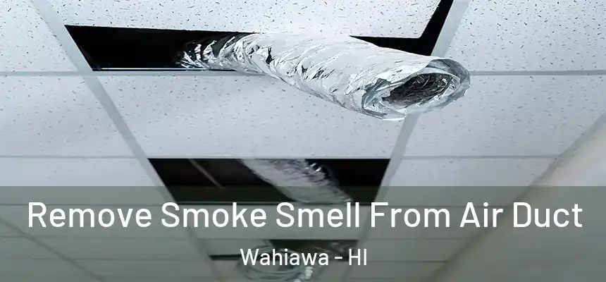  Remove Smoke Smell From Air Duct Wahiawa - HI