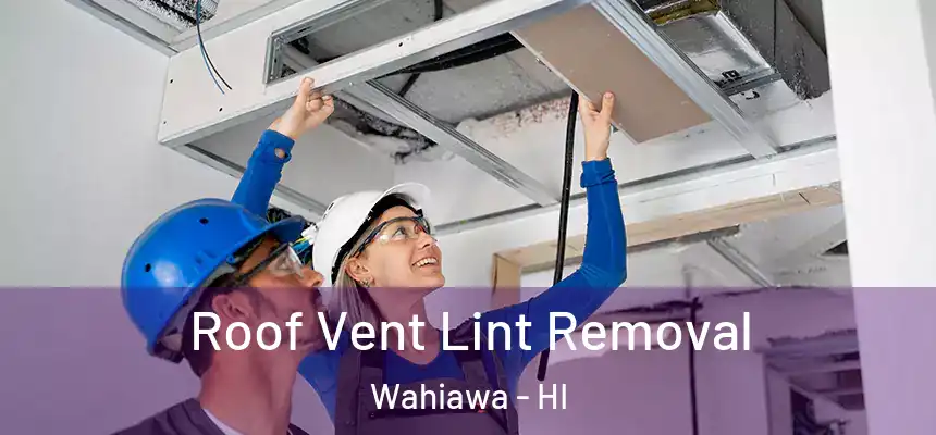  Roof Vent Lint Removal Wahiawa - HI