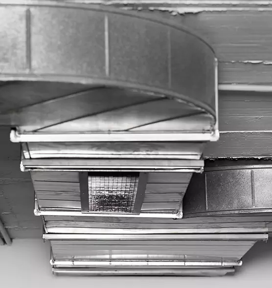 Professional Air Duct Pest Removal in Wahiawa, HI