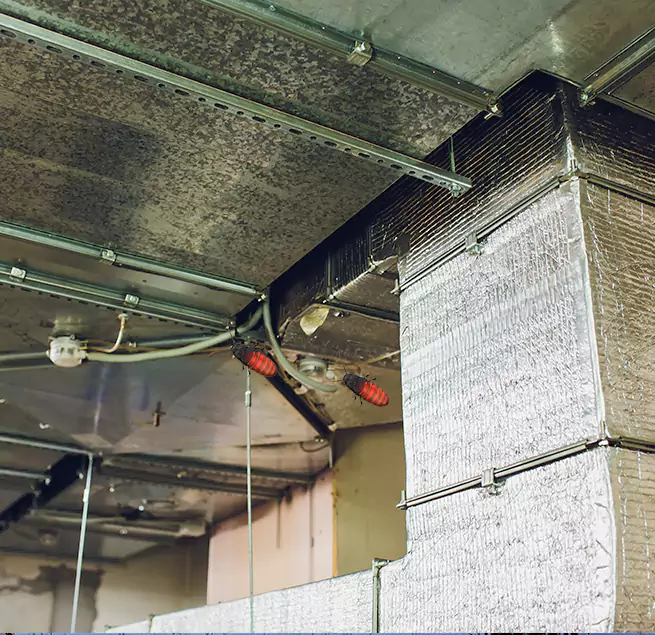 Why Homeowners & Businesses Trust Us in Wahiawa, HI?