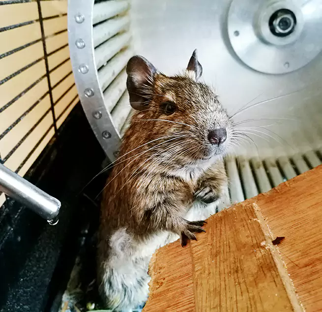 Why Homeowners & Businesses Trust Us Wahiawa, HI?