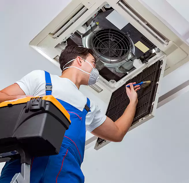 Why Homeowners & Businesses Trust Us in Wahiawa, HI?