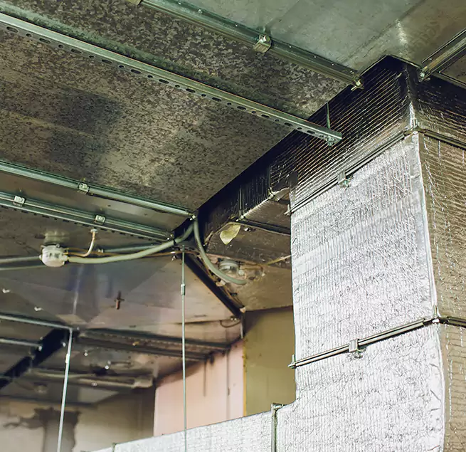 Why Homeowners & Businesses Trust Us in Wahiawa, HI?