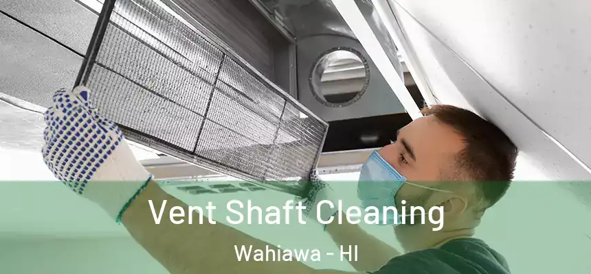  Vent Shaft Cleaning Wahiawa - HI